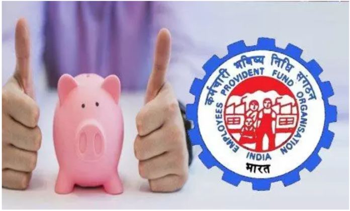 PF Withdrawal New Rule: Good news for EPFO members! Now only 20% TDS will be deducted on PF withdrawal in this cases, know the new rules
