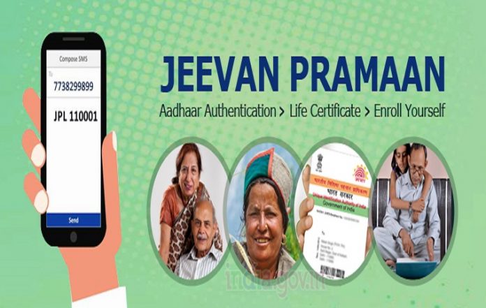 Life Certificate: Pensioners should submit this document by 30 November, otherwise their pension will be stuck