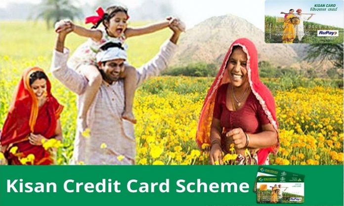 Kisan Credit Card: KCC is a profitable deal for farmers, how to take advantage of it?