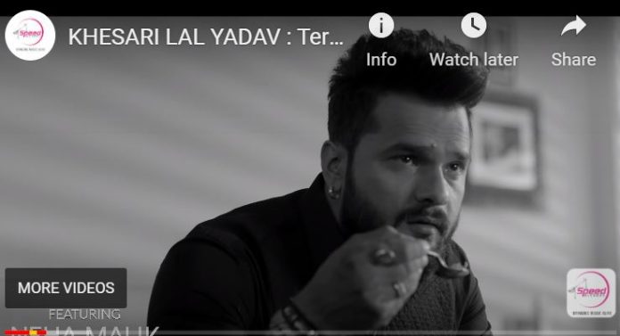 Trending Star 'Khesari Lal Yadav' Hindi Song 'Tere Mere Darmiyan' Release On Youtube, Watch Here Video