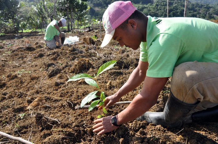 Good news for college students: Now on planting trees, you will get marks in the examination