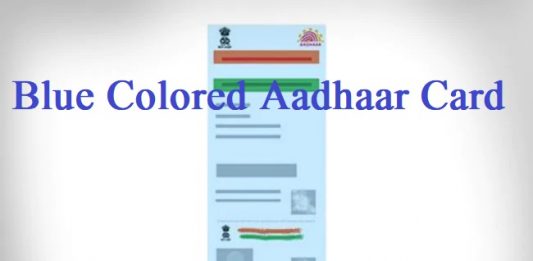 Blue Aadhaar: What is Blue Aadhaar Card? Know for whom this card is made