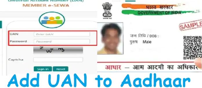 EPFO Says: Imporatnt news! Add UAN to Aadhaar soon, there may be a big loss, know how