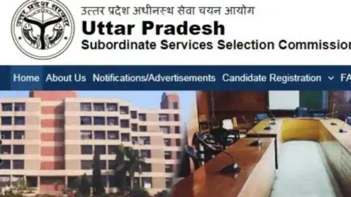 UPSSSC Recruitment 2024: Notification released for recruitment to 1828 posts in UPSSSC, check details