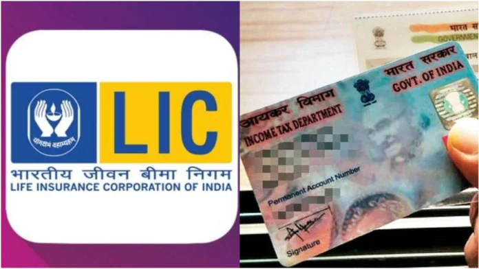 LIC Policy Holders Alert: Policyholders to update PAN immediately, deadline is February 28; here's the easy way