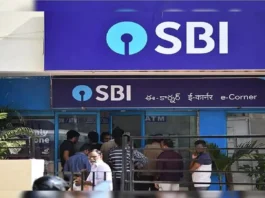 SBI FD Update: SBI has reduced interest on this special FD, know how much you will get now?