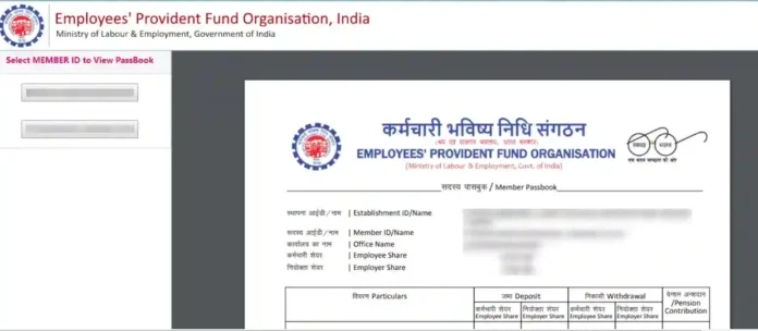 EPFO credit interest: Great news! Interest money credited in PF account, you should also check your balance