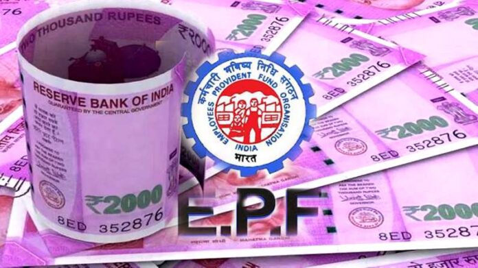 EPFO: Contribution being made in PF account can also make crorepati, know how