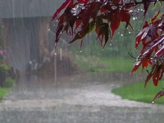IMD Alert! Heavy rain alert in these states for the next 3 days, know complete details here