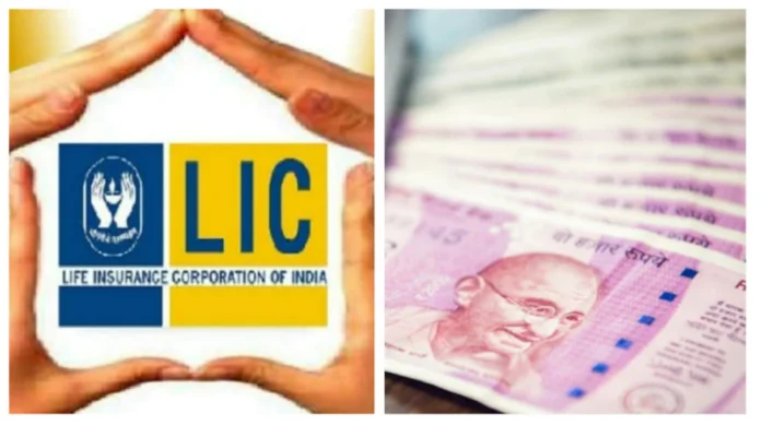 LIC Policy New Plan : In this policy of LIC, a fund of Rs 43 lakh can be created by investing Rs 2000...know in details