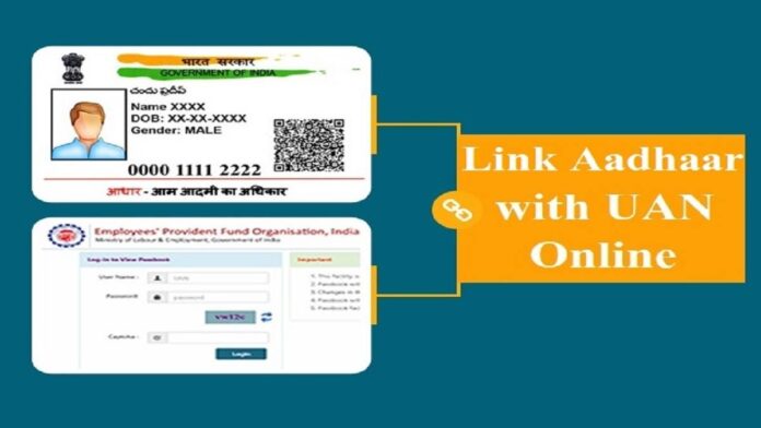 Aadhaar services on Umang app: You will get many benefits by linking Aadhaar with UMANG App, know in details