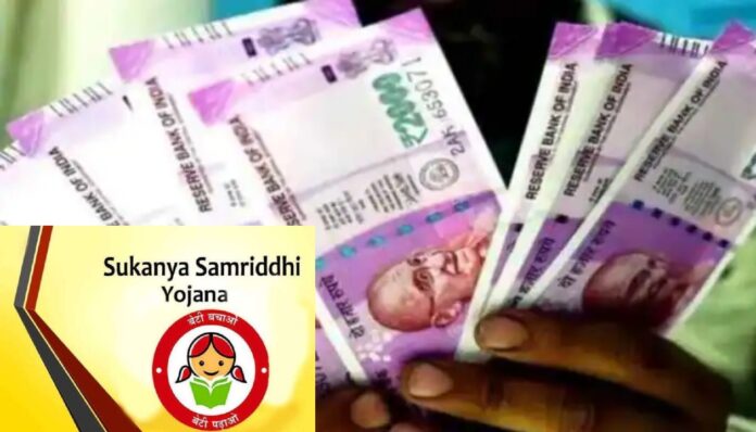 Sukanya Samriddhi Yojana Alert! Do this work by 31st, otherwise your account will be frozen! Penalty will be imposed