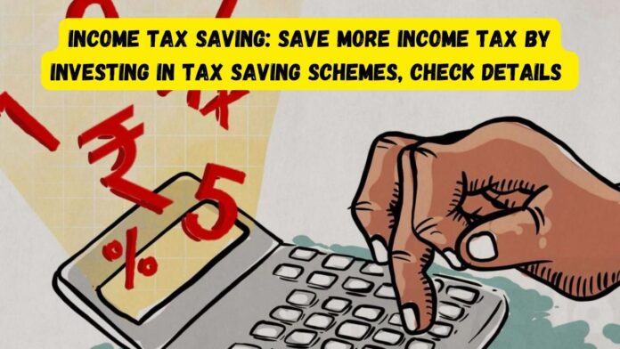 Income Tax Saving: Save more income tax by investing in tax saving schemes, check details