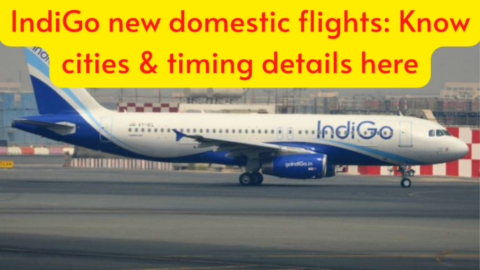 IndiGo new domestic flights: IndiGo started new special flights between these cities, know cities & timing details here