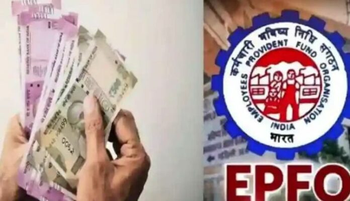 EPFO Passbook: New update! EPFO Passbook Portal is not opening, people are in trouble, check PF balance like this