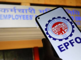 EPFO gave information about when interest will come in EPF account, know details