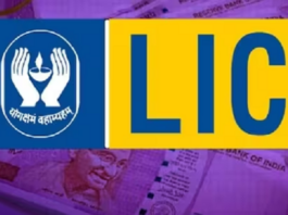 LIC Surrender Rules: LIC Dhan Viddhi Policy withdrawn, know how to surrender