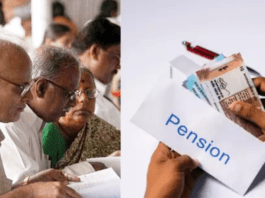 NPS subscribers have five options of annuity, know which one is best for you