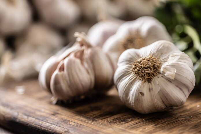 Garlic Health Benefits: Garlic is beneficial for high cholesterol, BP and strong immunity, know how to consume it