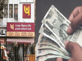PNB Fixed Deposit Rates: Big news! PNB is giving highest returns on FDs of this period, check interest rates here