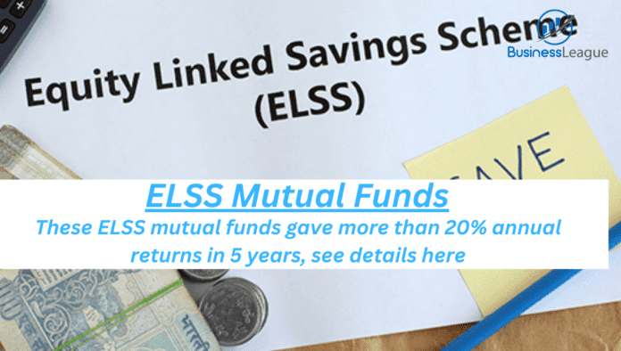 ELSS Mutual Funds: These ELSS mutual funds gave more than 20% annual returns in 5 years, see details here