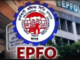 EPFO member gets life insurance up to Rs 7 lakh for free, but know these important rules