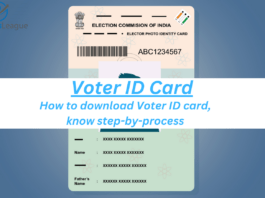 How to download Voter ID Card online? Know this easy method