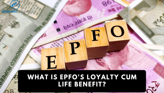EPFO Rules for PF Subscriber: What is EPFO's loyalty cum life benefit?
