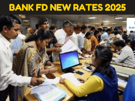 Bank FD Interest Rates: These 6 banks are offering the highest interest on FD, a golden opportunity for investors