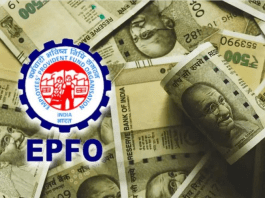 EPFO 2025 Changes : EPFO made 5 big changes in the year 2025, members will get these new facilities along with more pension
