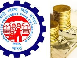 EPFO Rule: Members Alert! Pension is not available without PPO number, know from where and how to get this number?