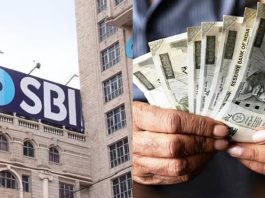 SBI New FD Rates : Now you will get less interest, Fixed Deposit interest rates have been cut drastically, check new rates here