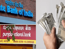 Highest FD Interest Rates: These five banks including SBI are giving higher interest, see full list