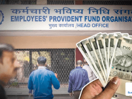 EPFO Pension Calculator: You will get this much pension after 10 years service, know EPF pension calculation formula