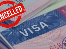 Visa Cancelled: Big news! More than half of Indian Student Visa were cancelled, know details