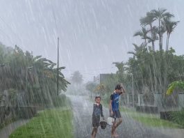 IMD Rain Alert: Heavy rain, thunderstorm warning in these states on 2nd and 3rd June, IMD on high alert