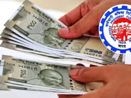 EPFO: If you withdraw all the money, you will not get pension, know the rules
