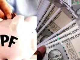 PPF, KVP and NSC account holders alert...these accounts will be frozen, how will they get the money?