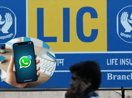 LIC New Service: Now pay your LIC policy premium through WhatsApp, know the step-by-step process here