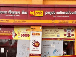 PNB FD Rates Changed Again: Punjab National Bank reduces FD rates for second time in two months, see latest FD rates