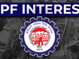 EPF Interest Credit: Check whether the interest for the financial year 2024-25 has come to your EPF account or not