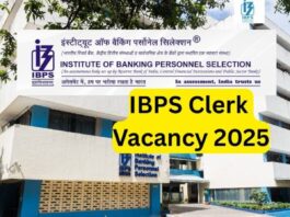 IBPS Clerk Recruitment 2025: Bumper recruitment of clerks in government banks, apply on ibps.in from August 1