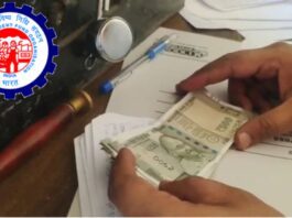 EPFO’s Big Gift: 5 Major Changes Every Employee Must Know