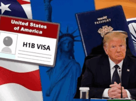 H 1B Visa Rules Change: Trump govt is going to Major change in the process of H-1B visa and green card