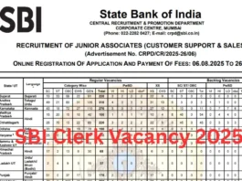 SBI Clerk Recruitment 2025: Vacancy for 6589 posts in State Bank, job will be available without interview, salary more than 26000