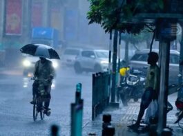 Weather Alert: Heavy rains expected for next 6-7 days, Meteorological Department issues alert