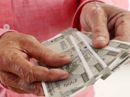 EPFO Rules on Interest: Do you not get interest on PF money if you leave your job? Know Here