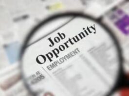 IBPS RRB 2025 Notification Out: Apply for 13,217 Clerk & PO Vacancies – Registration Begins for Graduates