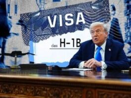 H-1B Visa Update: Indian Professionals Exempt from ₹8,800,000 Fee – Who Qualifies?