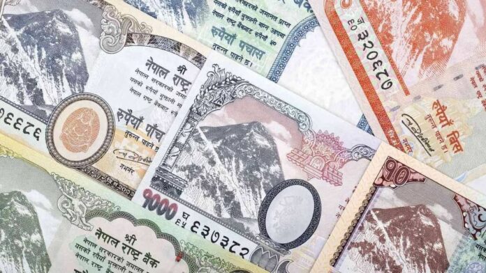 image-for-representational-purpo